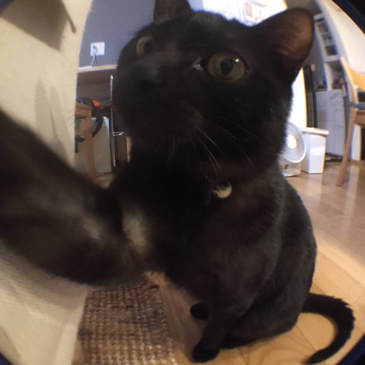 Faec0341 a0f5 4138 9c30 a18d4802246d