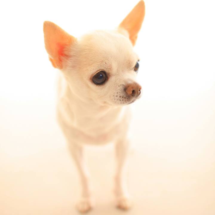 Faec38a2 4062 4ded a9ab 0dc647db9a3f