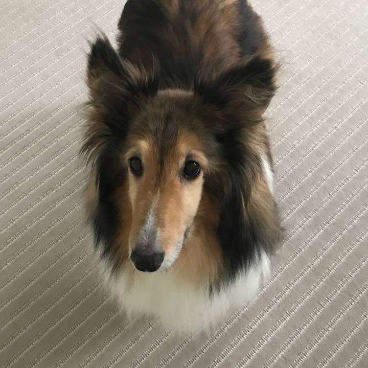 Faec987d 8ecc 46b9 bc67 b0d0ac7d4c52