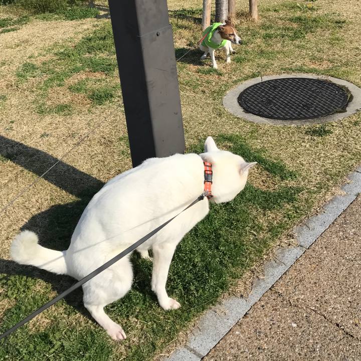 Faecad29 b62e 49bf 9fe7 c07dacc8e329