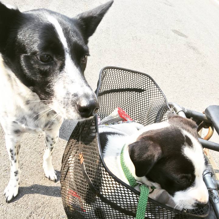 Faecb9bb 4b67 4f36 b95f 5ce57bb68987