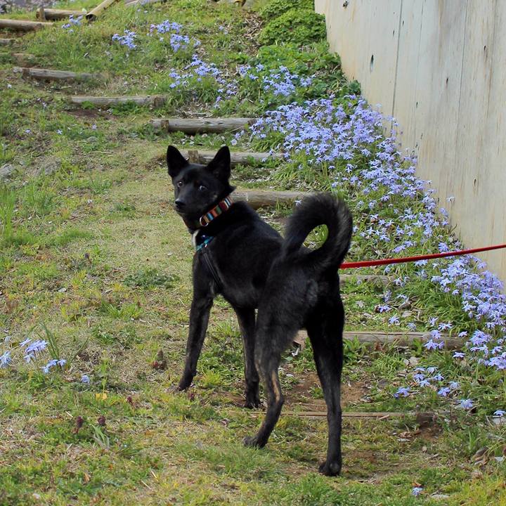 Faed0fcf e5d2 40eb aaeb c4b89f8c2e8c