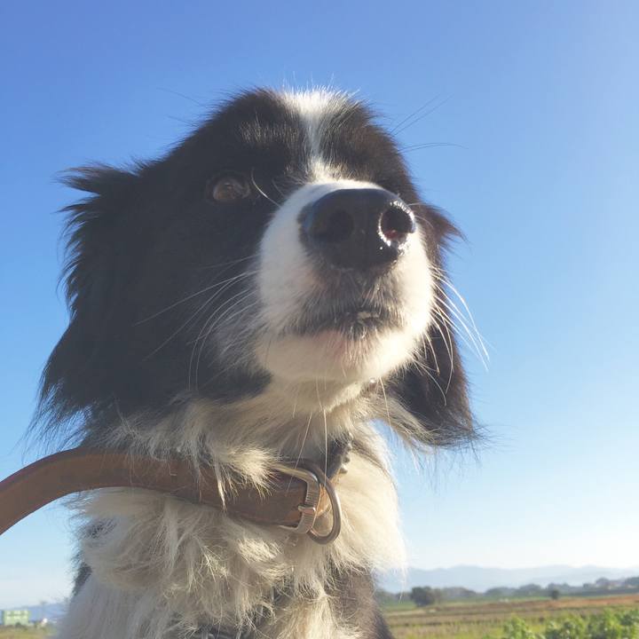 Faed4e59 a271 47f1 a8da c0cae6cf5fc6