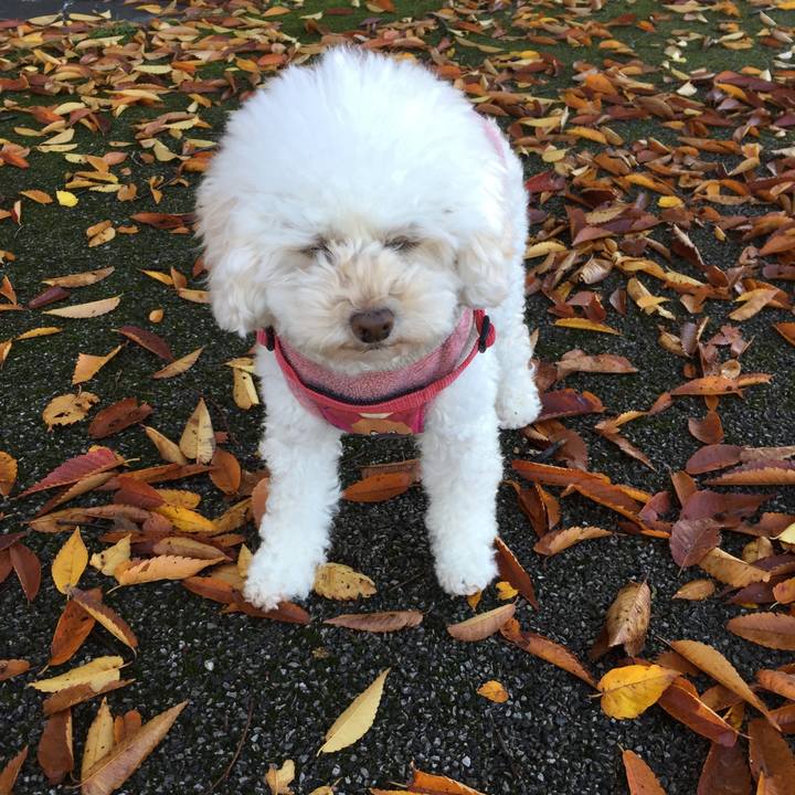 Faed674f 0a08 48b6 9c05 2447b6009d74