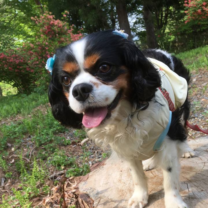 Faee216e 047f 40db a680 50d7ce88c827