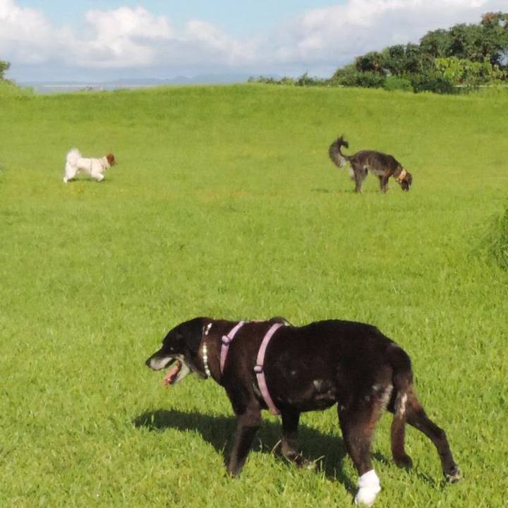 Faee33d9 2736 44d8 a60d 24ec036b613b