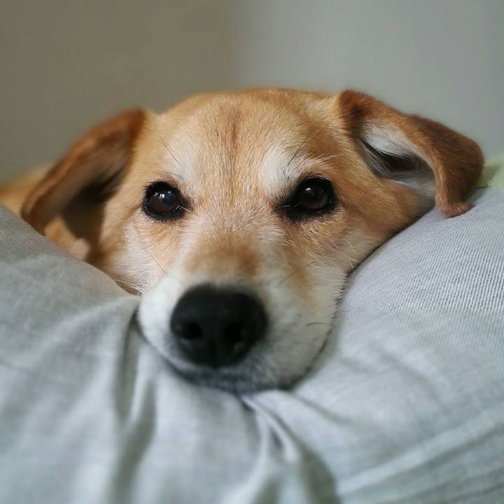 Faef40bc 4a5b 4608 98cc b53997646d28