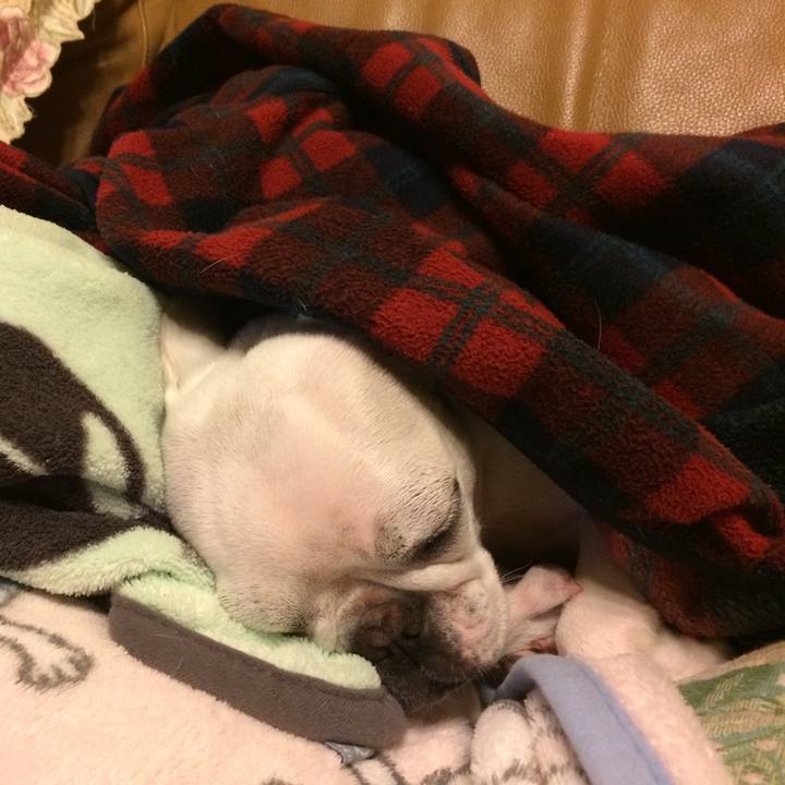 Faef592d b9f3 4b25 af0d 8af13fd4ccb6