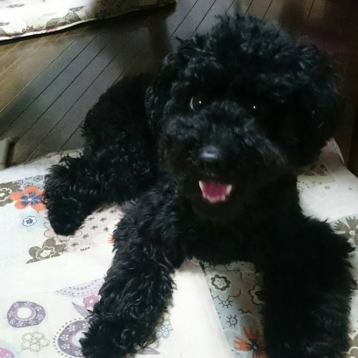 Faef6b31 1615 41ba 92c2 dc93268f4ba0