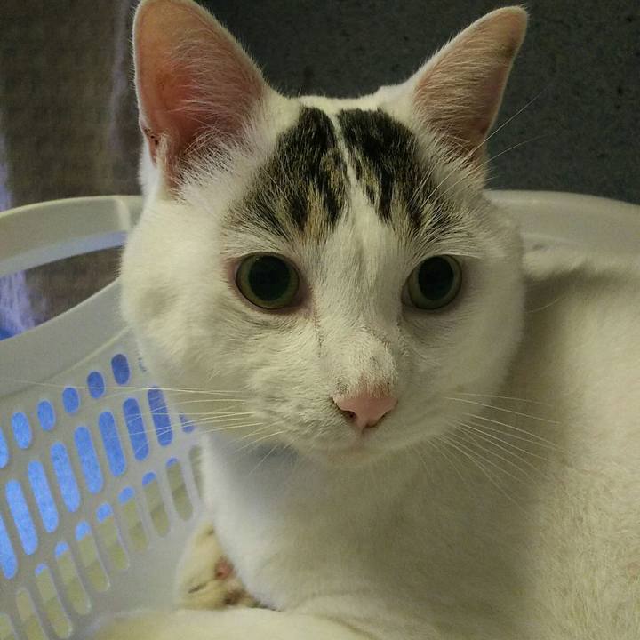 Faef8f66 fc75 4cf6 b0f3 11644c4d91ff