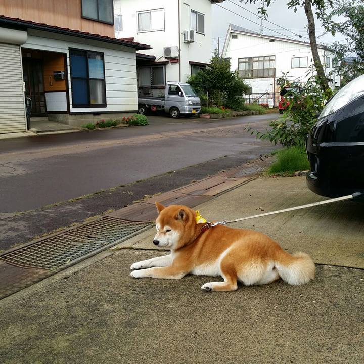 Faf0435b 2213 4499 aba0 d32127e215a9