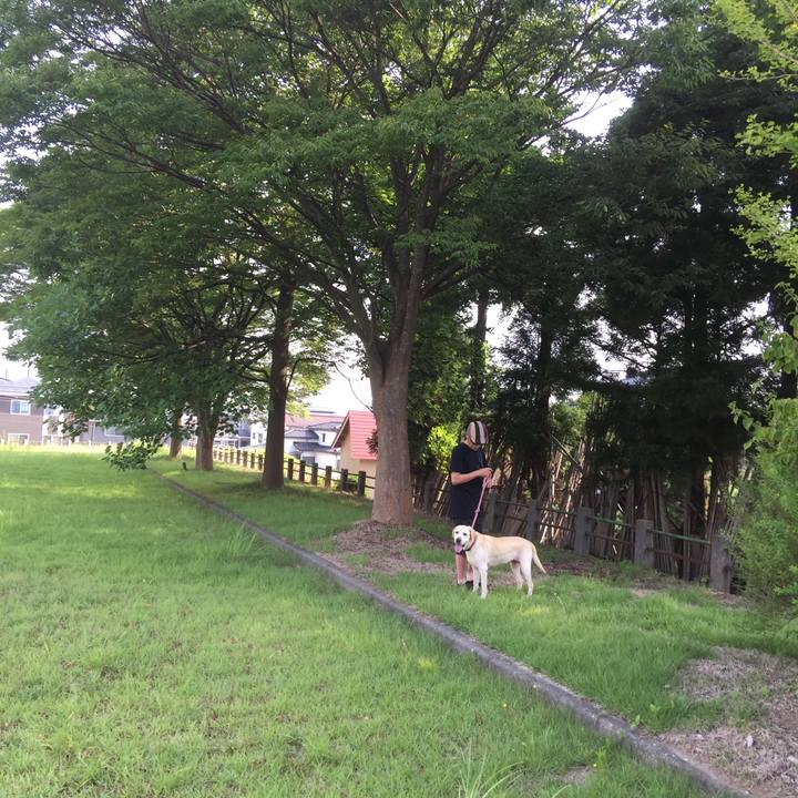 Faf046b3 505e 4a28 9940 8dc0f84a2968