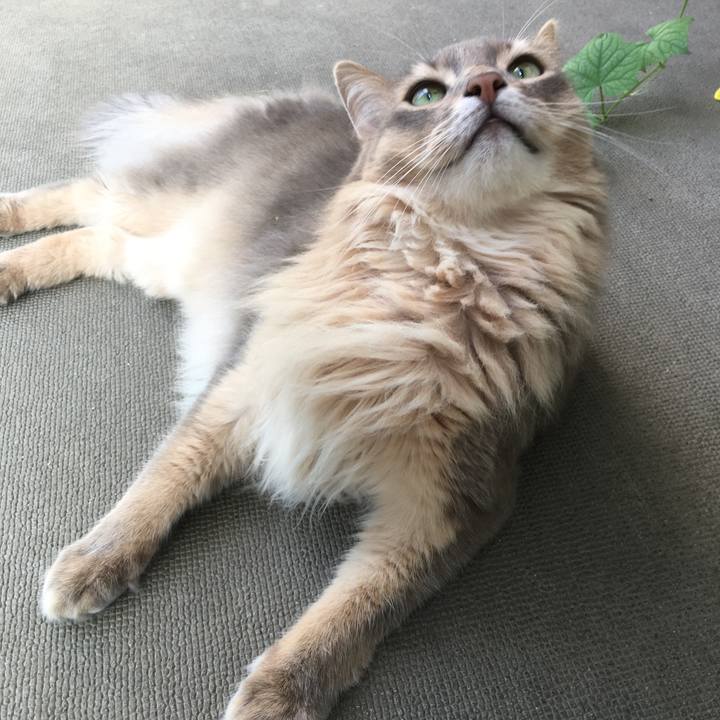 Faf04af5 23fa 4e5a 815c 804c2f7d86a2