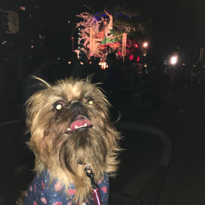 Faf08e00 917d 48e8 92ad d4760e162973