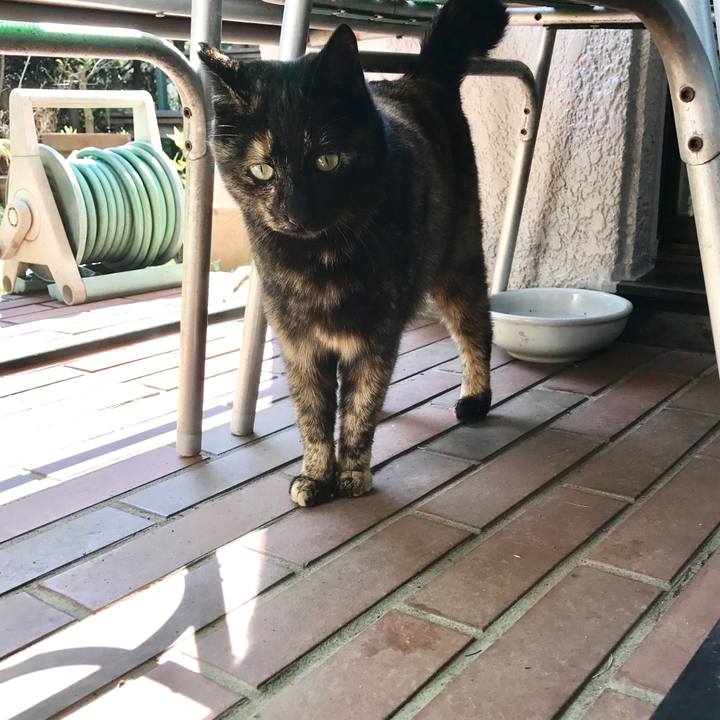 Faf0a083 d761 40b6 95db 67d543ef0751