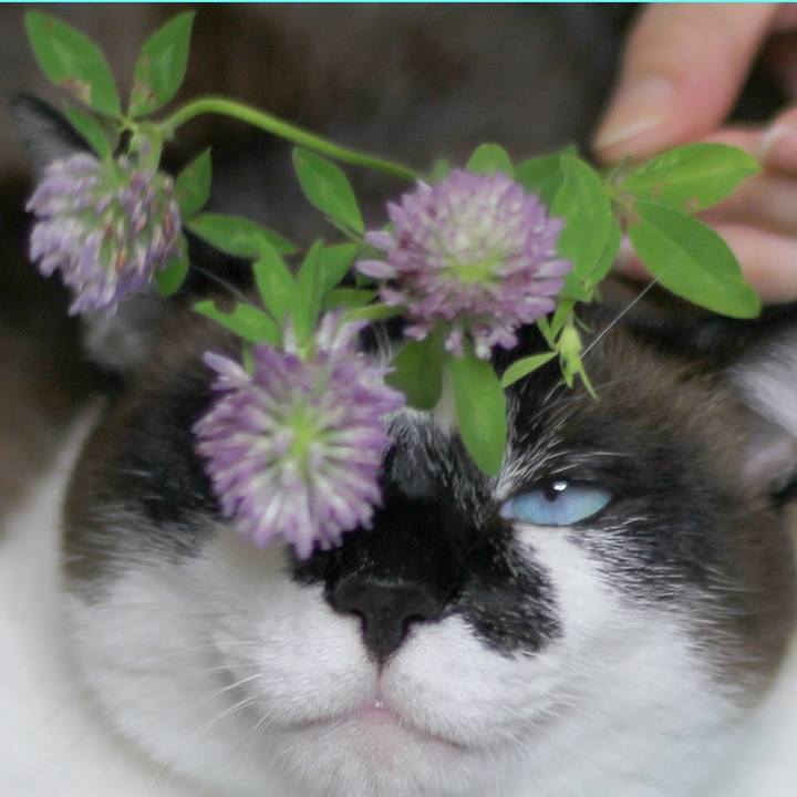 Faf214e2 46a4 45e2 9cee 51828e1ef03f