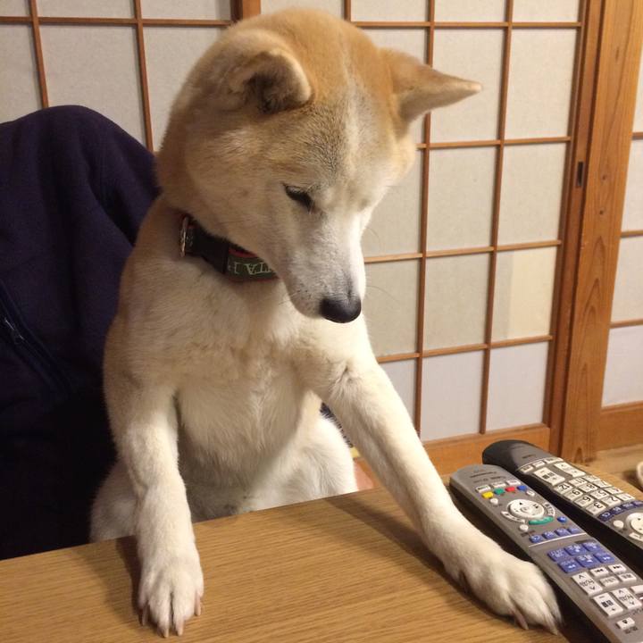 Faf317ec 7bac 414c adc2 0a1b0fcea025