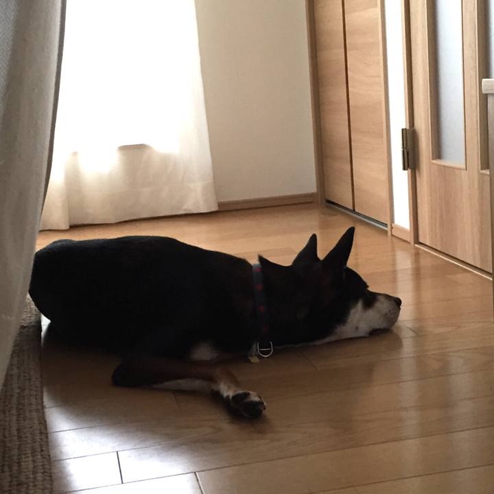 Faf40eb7 6e3f 4f9c 88e1 3c8b07796f32