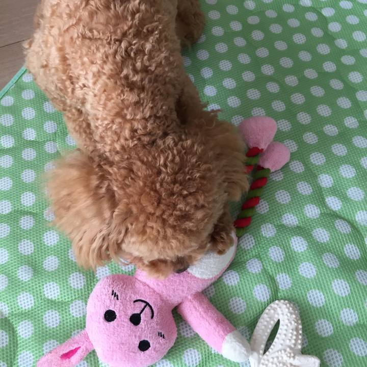 Faf4d58b 9cba 454d 880a e94de6a2ba7d