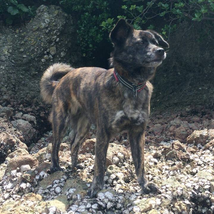 Faf4f403 a48c 4cef bf80 94baf98238ba