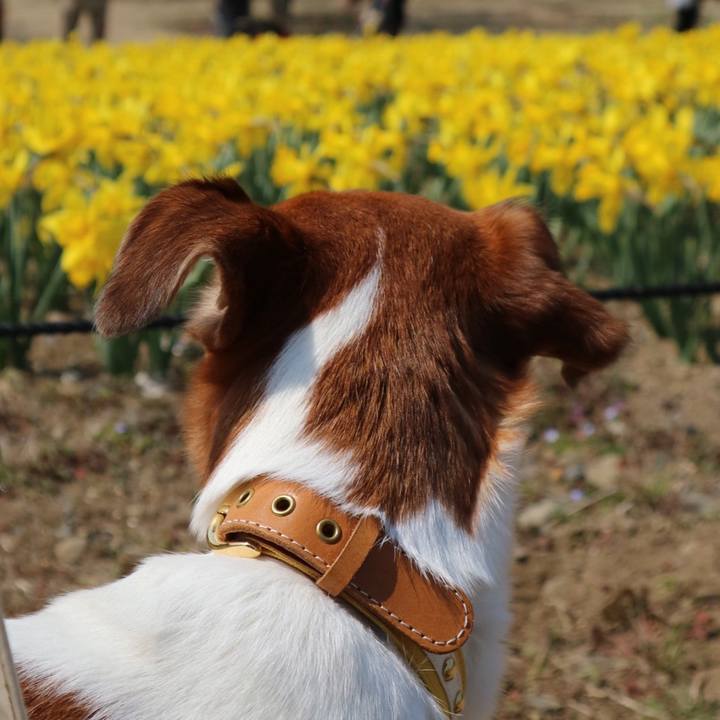 Faf52bf5 09dd 4730 a54f 0a6c0e23230f