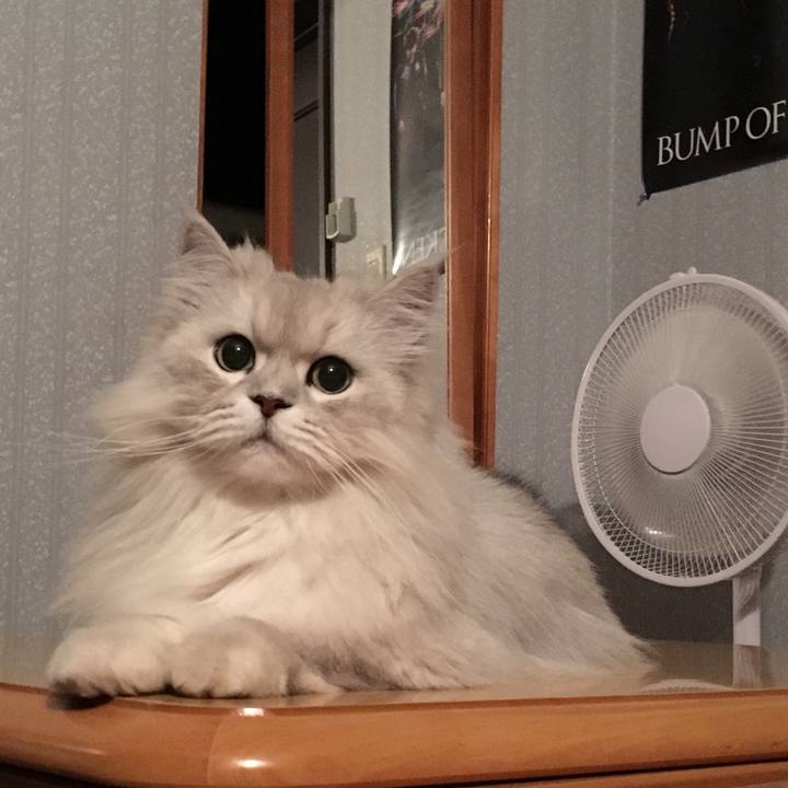 Faf60219 dd75 458f a102 e8edfb32034d