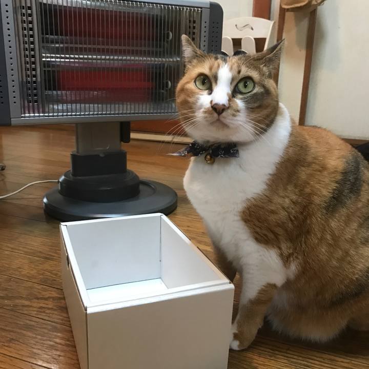 Faf7f13a 26c3 45f7 a6e2 d645bc921aa7