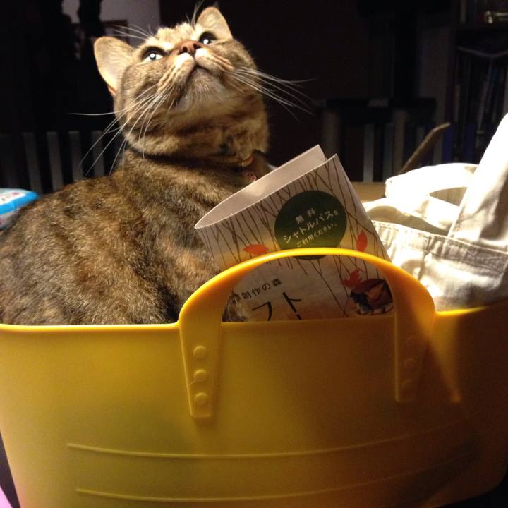 Faf81096 7891 4d33 95af da8b077f5181