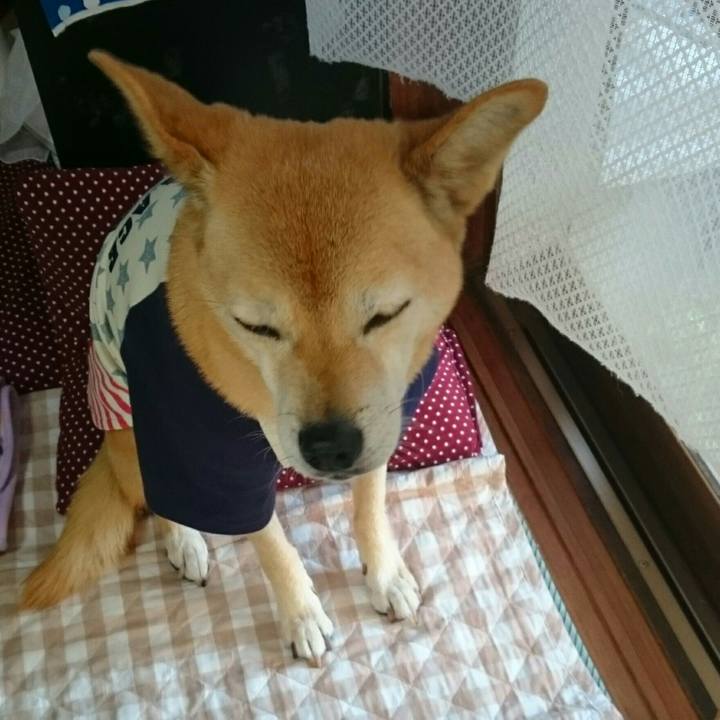 Faf865cb eecc 4fc8 a147 4690e3fd0597