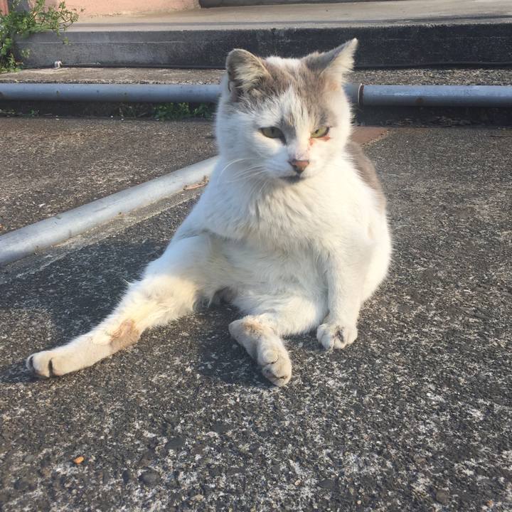 Faf865ed 77e1 4b98 8543 82388c0b501d