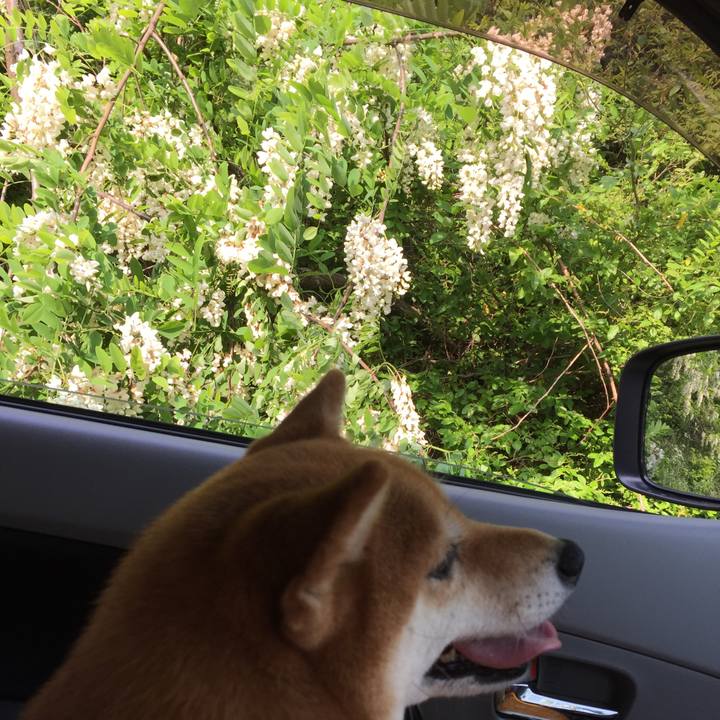 Faf891b4 287a 4fba a9d4 89ce2a7fb8e3