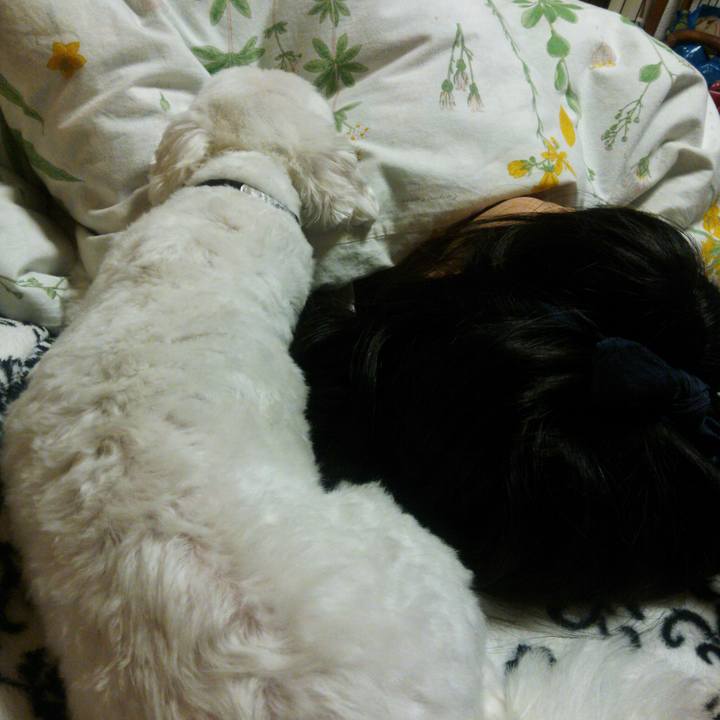 Fafb04d7 8d6d 4685 853b 84a77d66aaef