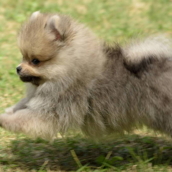 Fafb34e4 b5ea 4d24 9a1b 12909ab24586