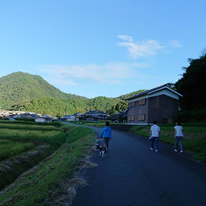 Fafb411c f8a2 4306 907d 9ea62d312359