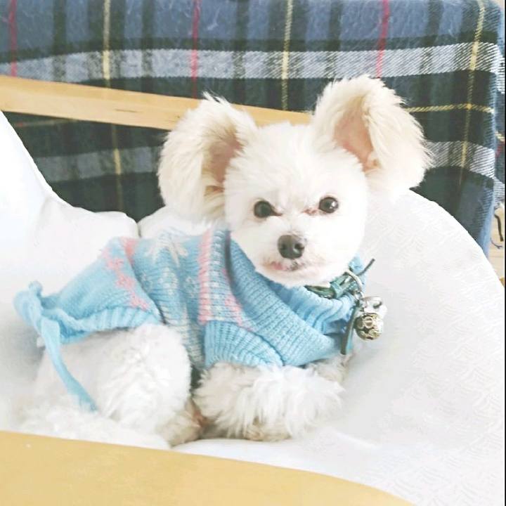 Fafb6eaa 5328 4fe3 b348 03d4cf76dd52