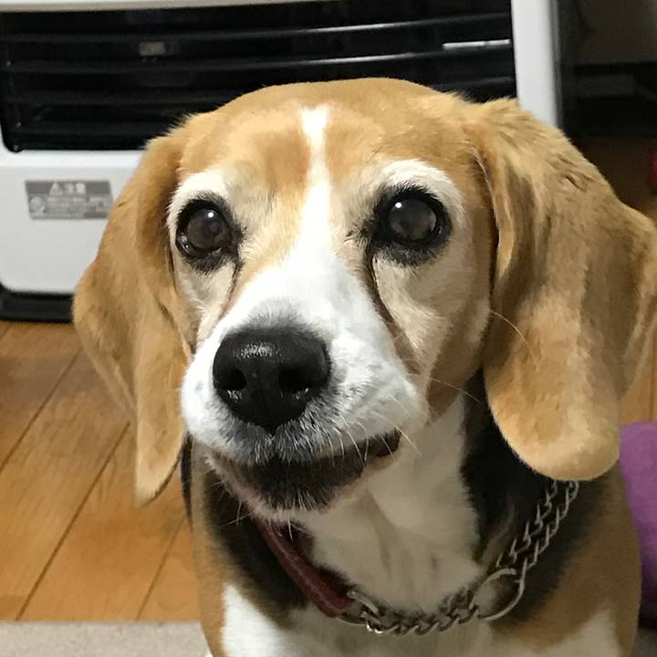 Fafc50d7 a184 4cf6 a2d0 251d02e6342d