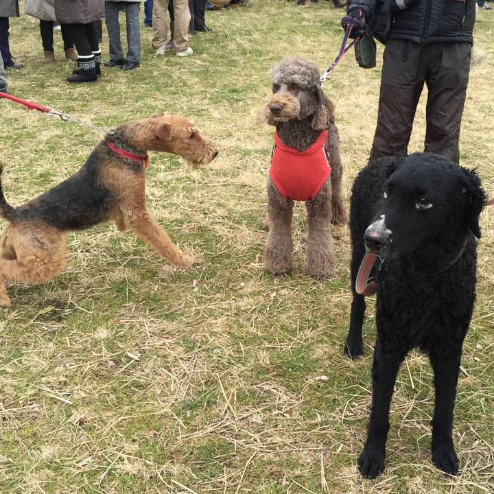 Fafc6be5 9b69 4b41 b991 a3f0aecb7eda