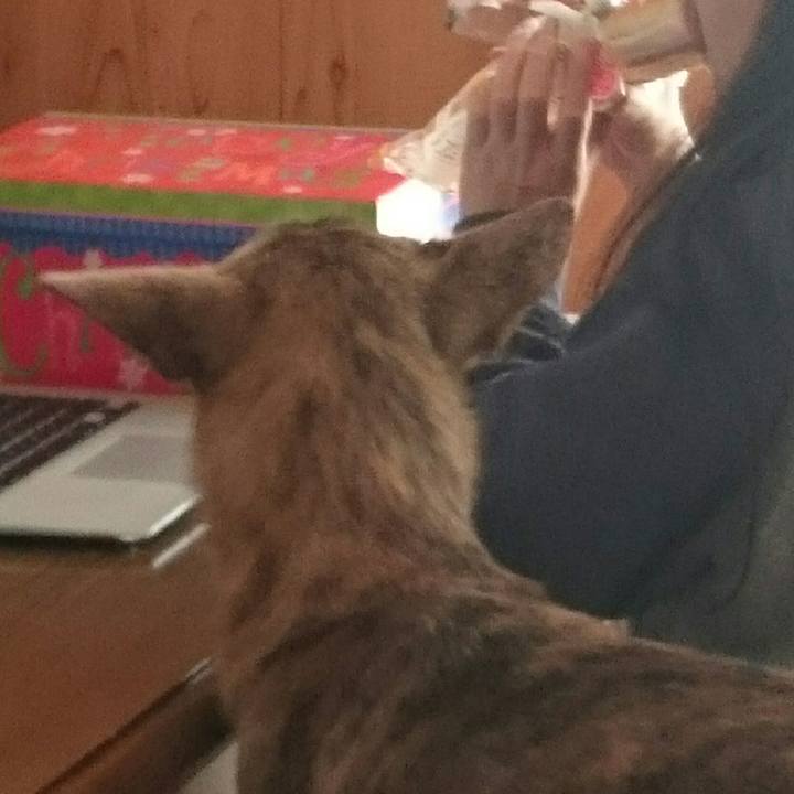 Fafcae14 1e67 443e 9e2e 8a5aa35fd511