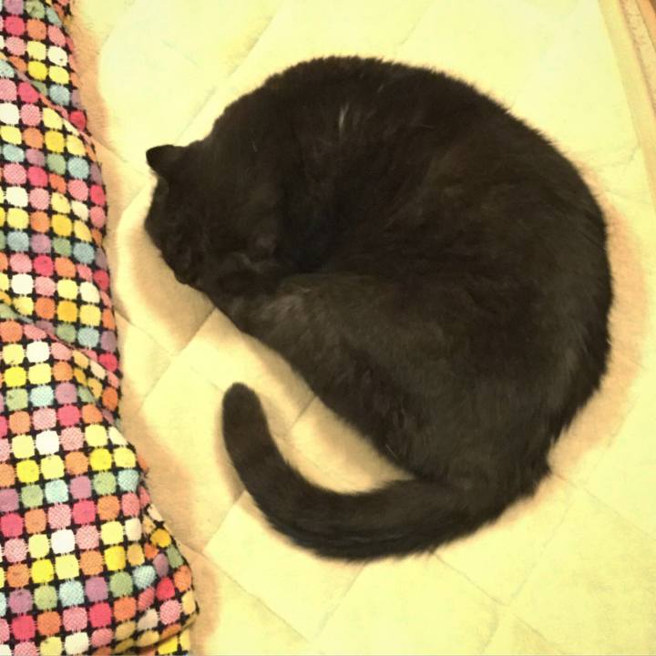 Fafd0898 6181 4516 9efa 797a48d8b438