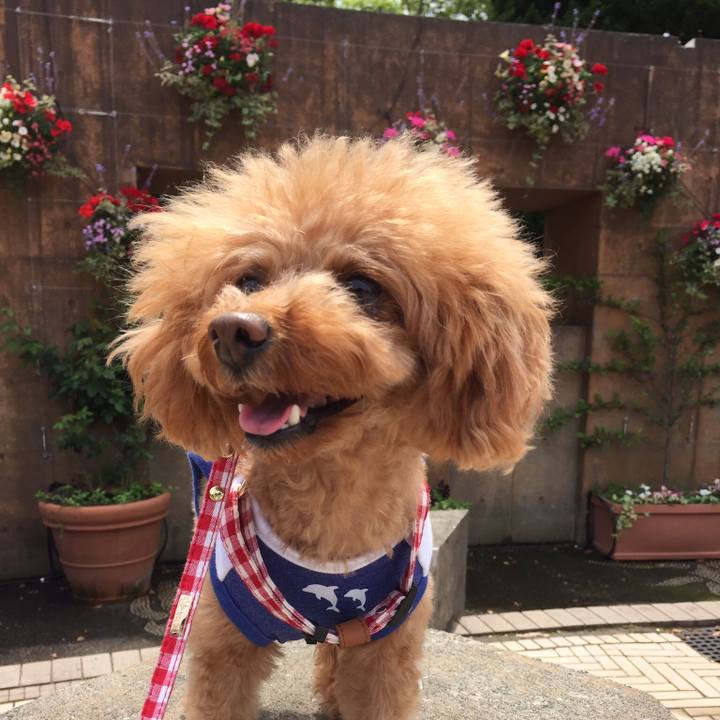 Fafe4b8d 50f4 4b63 9625 fd3cd0ad2652