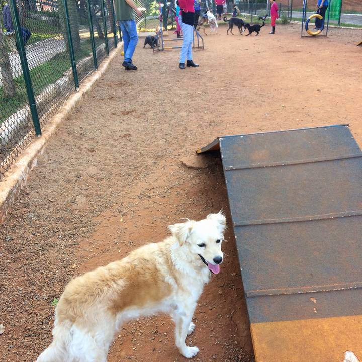 Faff6c37 5770 4003 b976 c7d0e7d1a8bb