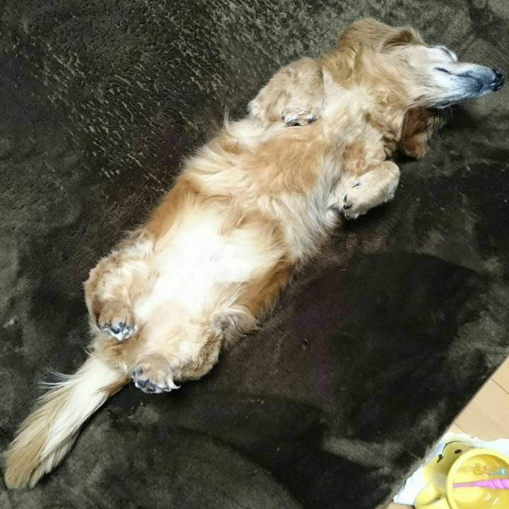 Faff9ba1 d997 4f45 8565 cb43a3ec40e7