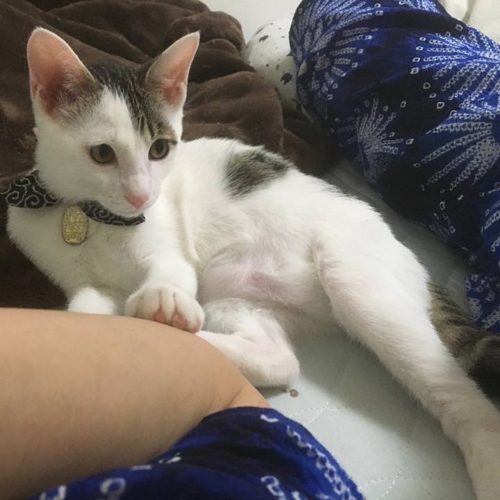 Fb007863 35fc 46ba 9457 61b04d7b8377