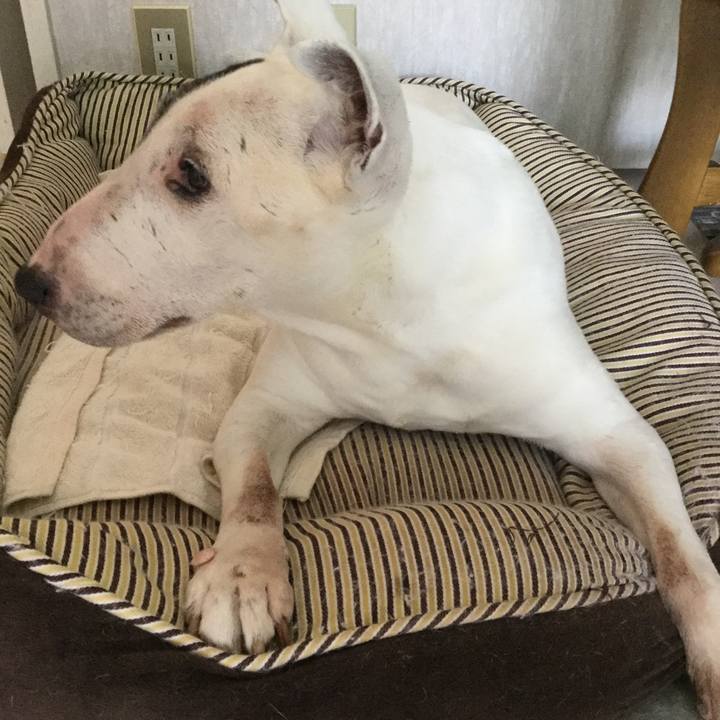 Fb0082d2 fbde 45e3 9742 7a06ecc6efd9