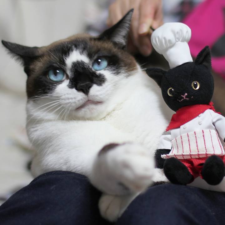 Fb00a939 d3e1 487d abb5 3926348fbb34