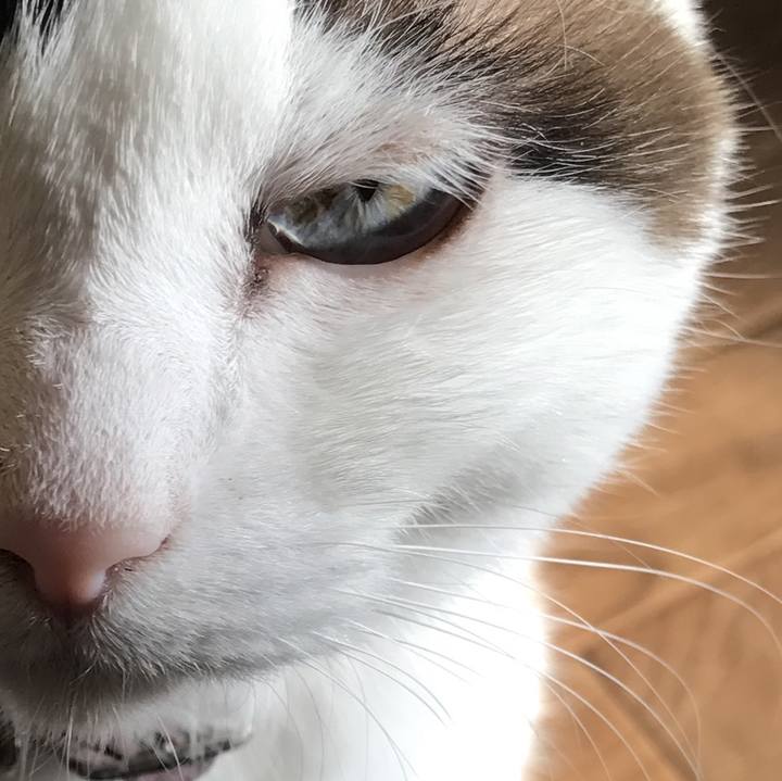 Fb00f9ed 7b7c 4c83 bcb1 84087cd65394