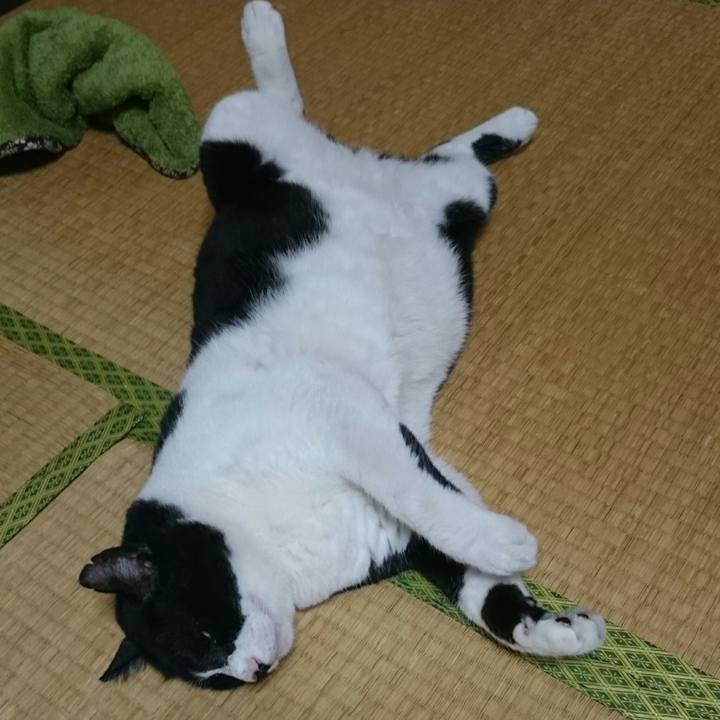 Fb026815 7dd5 4ef1 b868 a7aa98762a5d