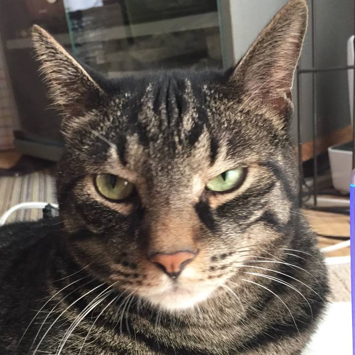 Fb028e69 c8e7 468d 8038 d671ba8cf0d2