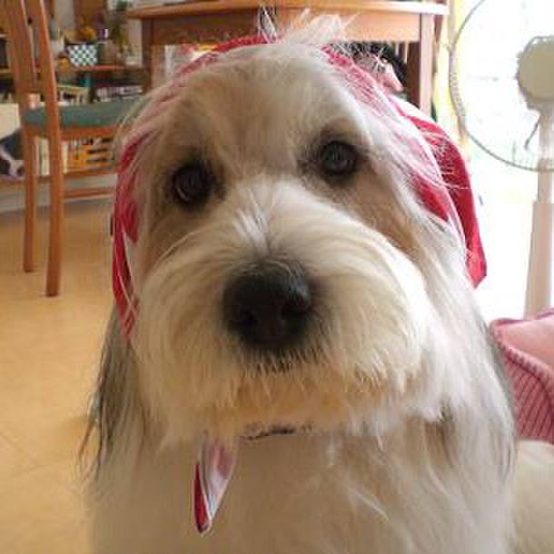 Fb02b615 8722 48f8 a7ef 246ac136c685