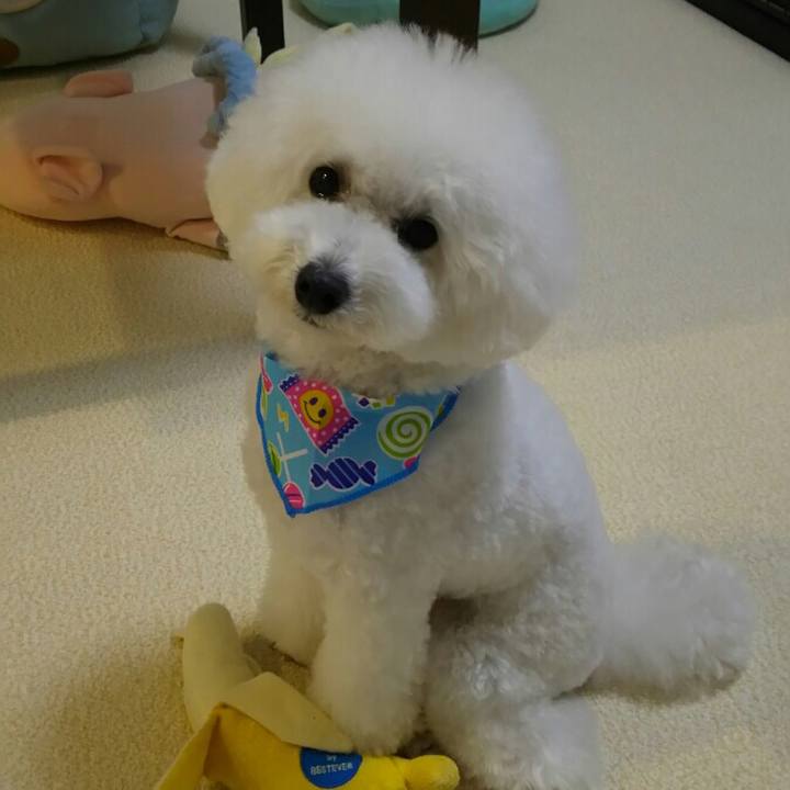 Fb02cce9 9441 4bcc 8d6c 8e7885dff296